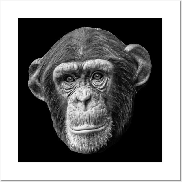 Chimpanzee Wall Art by dalyndigaital2@gmail.com